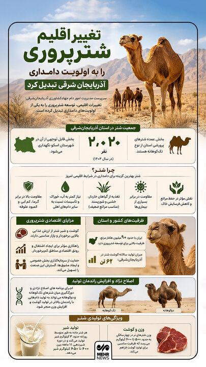 اینفوگرافیک؛ تغییر اقلیم و فرصت طلایی شترپروری در آذربایجانشرقی